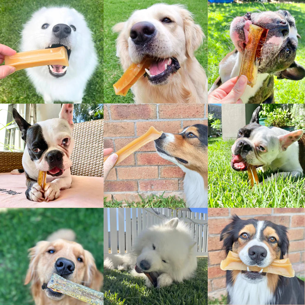 collage.webp